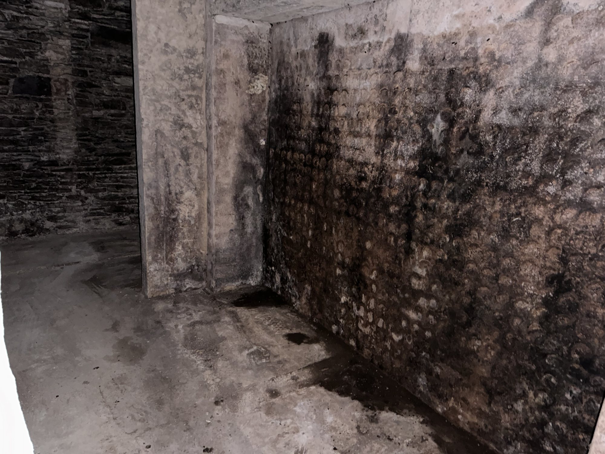 Geräumter Weinkeller mit freigelegter Wand und sichtbaren Feuchtigkeitsspuren nach der Entrümpelung